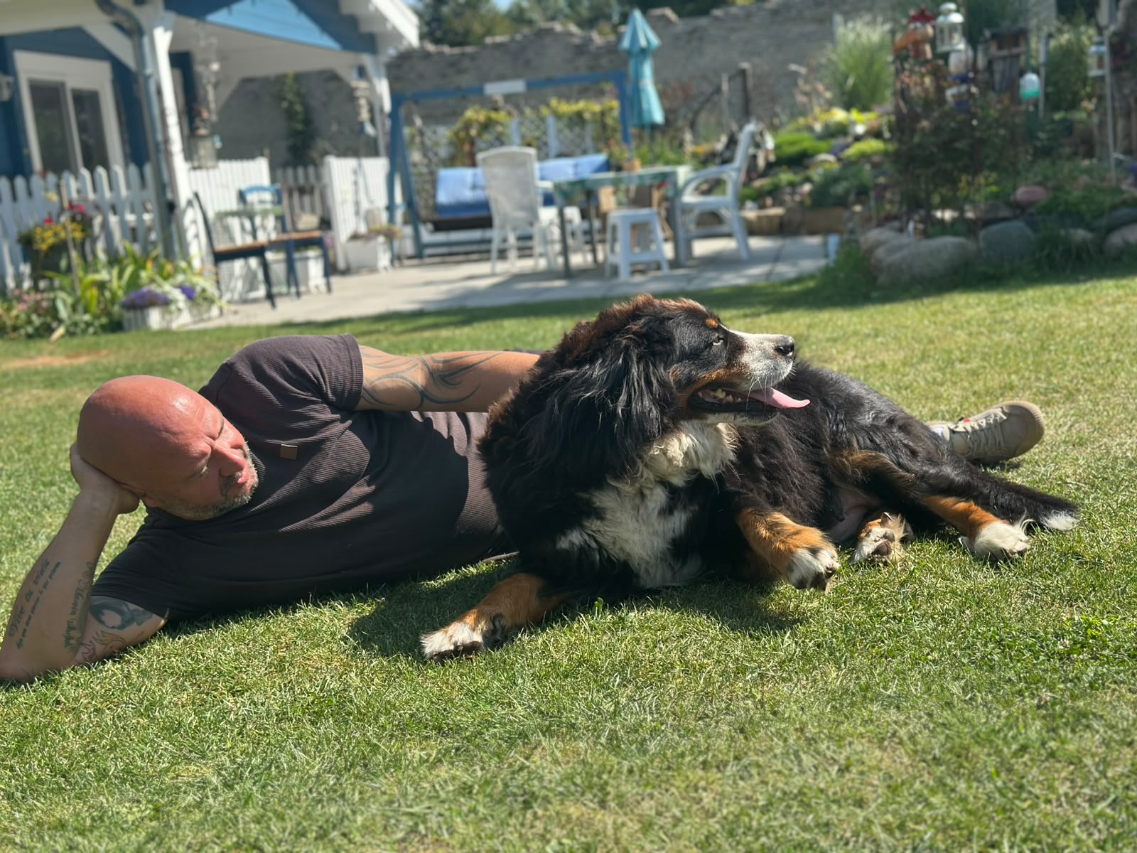 Berner Sennenhunde von der Altmark